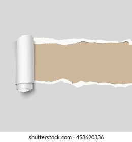 Papel rasgado cinza vetorial realista.