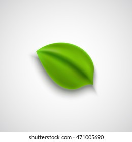 Realistic vector green leaf, environment and nature icon