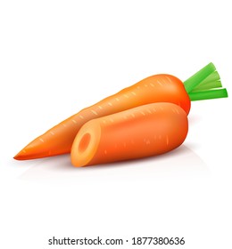 Realistic vector half and whole carrot isolated on white background. Carrots set.