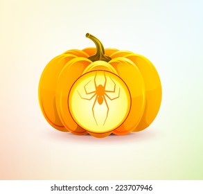 Realistic vector Halloween pumpkin with a carved spider of it. Autumn.  Icon Image Picture Illustration Printed material Logo 