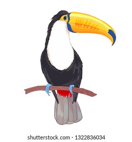 Realistic vector hand drawn illustration tropical toucan bird. Colorful tropic print isolated on white with watercolor effect