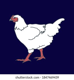 realistic vector hen illustration with stroke