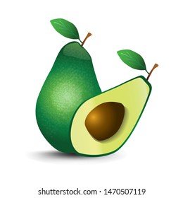 Realistic Vector Icon Avocado Fruits