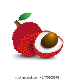 Realistic Vector Icon Lychee Fruits