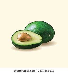 Realistic vector icon set Whole green avocado and sliced in half Isolated on white background