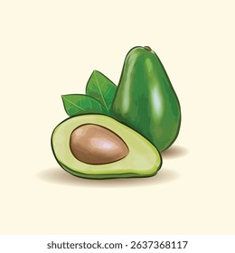 Realistic vector icon set Whole green avocado and sliced in half Isolated on white background