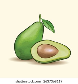 Realistic vector icon set Whole green avocado and sliced in half Isolated on white background