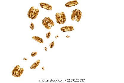 realistic vector icon. Walnuts in the shell in different shapes. Isolated on white.