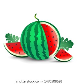 Realistic Vector Icon Watermelon Fruits