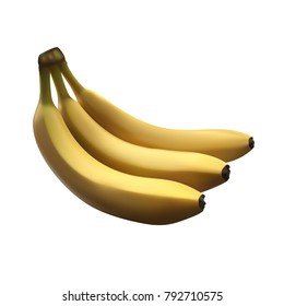 Realistic vector illustartion. Branch of fresh and tasty bananas isolated on white background