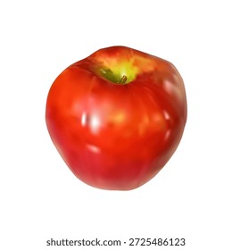 Una Ilustración vectorial realista de una manzana con Gradientes suaves y reflejos suaves. La fruta jugosa y madura está aislada sobre un fondo blanco. Conveniente para la alimentación sana, comida orgánica, productos agrícolas