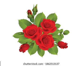 Realistic vector illustration art of red roses with buds and green leaves isolated on white background. Decoration for packaging products for beauty, health, cosmetics, flower shops, markets, others.