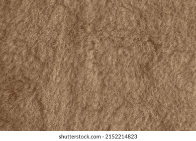 Realistic vector illustration of background picture of a soft fur beige carpet. Wool sheep fleece closeup texture background. Top view.