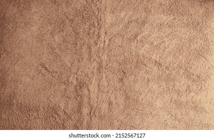 Realistic vector illustration of background picture of a soft fur beige carpet. Wool sheep fleece closeup texture background. Top view.