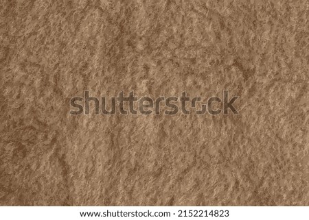 Realistic vector illustration of background picture of a soft fur beige carpet. Wool sheep fleece closeup texture background. Top view.