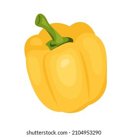 Ilustración vectorial realista de pimienta amarilla en un estilo plano aislado en fondo blanco. Vitamina c en paprika. Verduras ecológicas orgánicas para ensaladas.