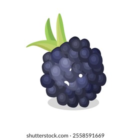 "Realistic Vector Illustration of Blackberry Berry with Leaves"