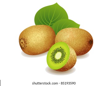 Realistic vector illustration of a bunch of kiwi fruits.