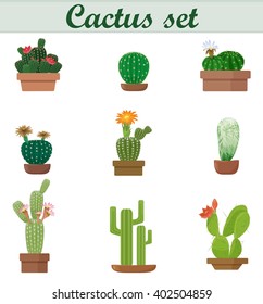 Realistic vector illustration of Cactus set. Flat style.