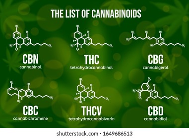 Ilustración vectorial realista de los compuestos cannabinoides. Estructura química de los componentes de cannabis. Tipos de cannabinoides en el fondo de color verde. Ingredientes psicoactivos en cannabis.