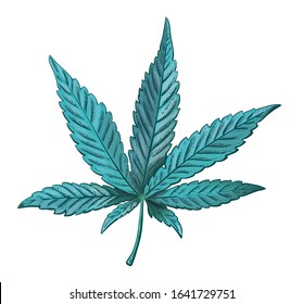 Realistic vector illustration of cannabis leaf. Marijuana leaf isolated. Vector eps 10.