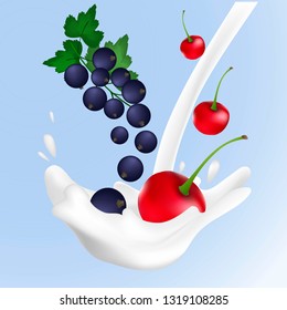 Realistic vector illustration cherry and black currant sweet milk splashes.