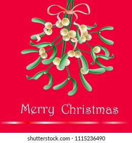 Realistic vector illustration of Christmas decorations. Mistletoe branch on the red background.