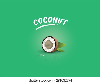 Realistic vector illustration of coconut taste for labels. Halved coco nut.