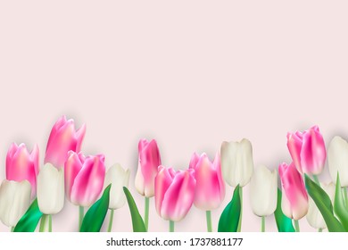 Realistic Vector Illustration Colorful Tulips Background. EPS10