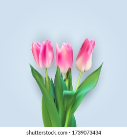 Realistic Vector Illustration Colorful Tulips Background. EPS10