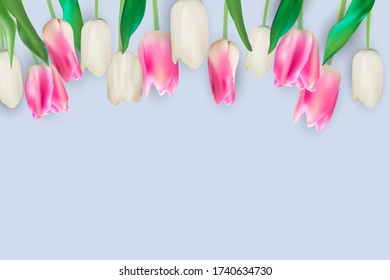 Realistic Vector Illustration Colorful Tulips Background. EPS10