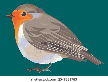 Realistic Vector Illustration of a Cute Chubby Robin