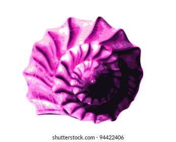 Realistic vector illustration of a dark pink spiral shaped sea shell