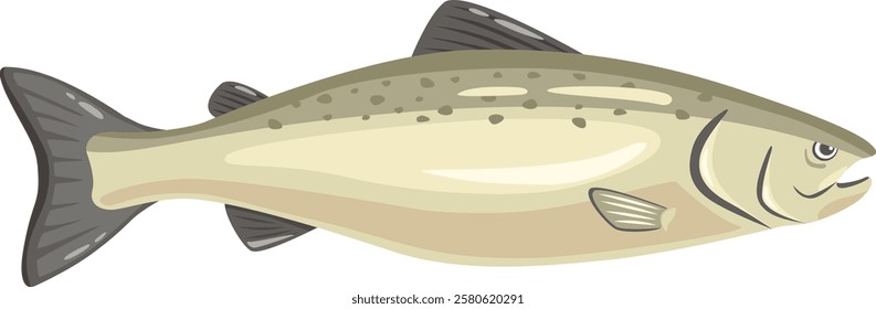 Realistic vector illustration featuring a cutthroat trout swimming underwater, highlighting distinctive red slashes under the jaw and speckled olive green body