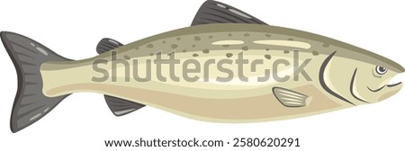 Realistic vector illustration featuring a cutthroat trout swimming underwater, highlighting distinctive red slashes under the jaw and speckled olive green body