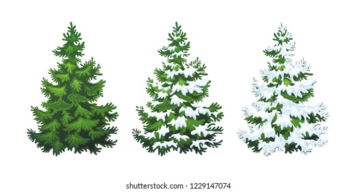 Realistic vector illustration of fir tree in snow on white background. Green fluffy pine, isolated on white background 1.2