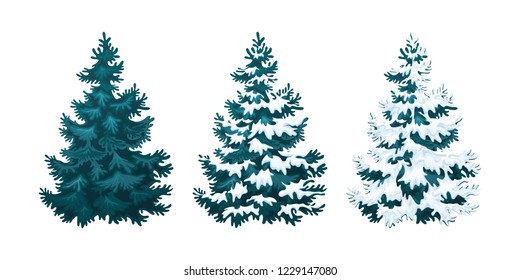 Realistic vector illustration of fir tree in snow on white background. Blue fluffy pine, isolated on white background 2.2