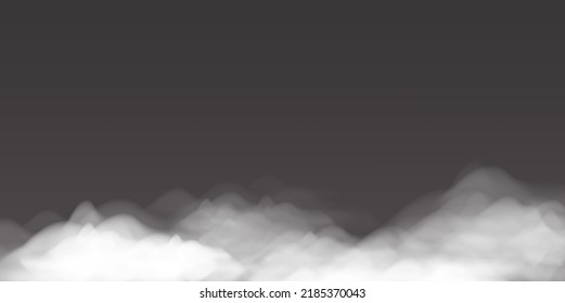 realistic vector illustration of fog or clouds, white and black background. Vector illustration