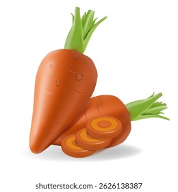 Realistic vector illustration of fresh carrot. Vegetables in 3D style using mesh grid: two whole root vegetables and sliced into rings. Juicy color, soft shadows and highlights add volume and naturaln