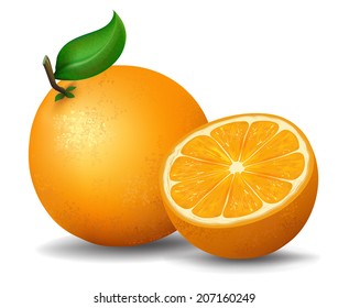 Realistic vector illustration. Fresh oranges fruits with green leaf and slices. 