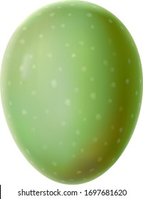 Realistic Vector illustration of fresh ripe olive with authentic texture