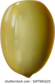 Realistic Vector illustration of fresh ripe olive with authentic texture