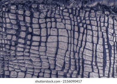 Realistic vector illustration of fur texture top view. Blue fur background. Fur pattern. Texture of dark blue smooth fur with a pattern.
