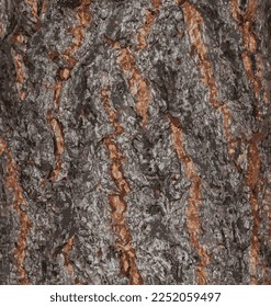 Realistic vector illustration of ginkgo biloba tree bark. Tree bark background.
