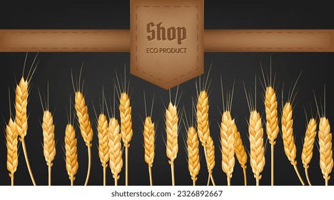 Realistic vector illustration of golden wheat spikes and ear, perfect for eco friendly and organic bakery designs. Represents fresh, organic, and high quality food. Ideal for banners, labels