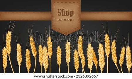 Realistic vector illustration of golden wheat spikes and ear, perfect for eco friendly and organic bakery designs. Represents fresh, organic, and high quality food. Ideal for banners, labels