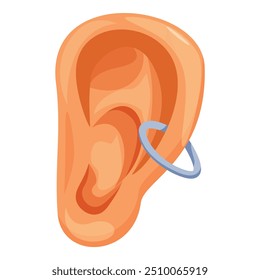 Realistic vector illustration of a human ear with an outer cartilage helix piercing