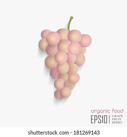 Realistic vector illustration of isolated grape. organic food.