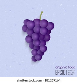 Realistic vector illustration of isolated grape. organic food.