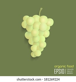 Realistic vector illustration of isolated grape. organic food.